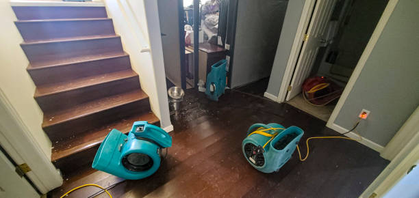 Best 24-hour water damage restoration  in Packanack Lake, NJ