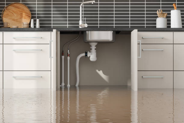 Best Water damage contractors near me  in Packanack Lake, NJ